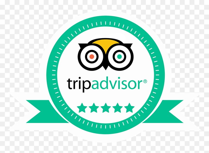 trip_advisor